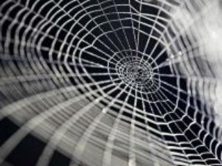 Πρόκειται για καλάθια ενεργητικού, που προσπαθούν να αποφύγουν την χρηματιστηριακή μεταβλητότητα την οποία προκαλούν οι γενικότεροι φόβοι για την παγκόσμια οικονομία. Θεωρείται ότι προσφέρουν μια ‘σχετική σταθερότητα’ και τακτικές αποδόσεις, αφού υποτίθεται ότι οι θεσμικοί επενδυτές εξετάζουν πλέον σοβαρά τα πλεονεκτήματα των ‘παθητικών επενδύσεων’, μέσω μιας σειράς επιλεγμένων εργαλείων, σε σύγκριση με την χρήση ενεργητικής διαχείρισης.